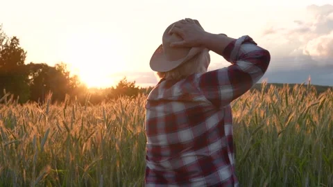 Woman Waving Hand Over Ears Wheat Rye On Golden Field In Rural At Sunset Stock Footage 279968341