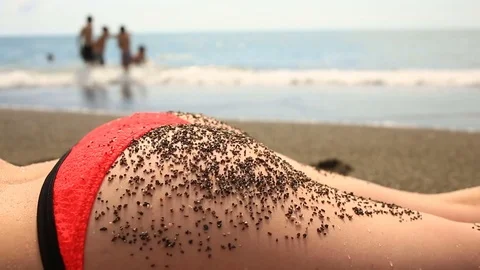 Woman Wearing Bikini Lying on Stomach on Beach with Focus on Buttocks Coated Stock Footage