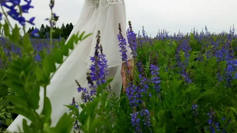 Woman in white dress walks through field of cornflowers and touches the flowers. Stock Footage