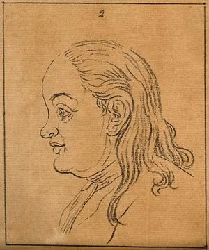 A woman whose face exemplifies the phlegmatic temperament. Drawing, c. 1789. Stock Illustration