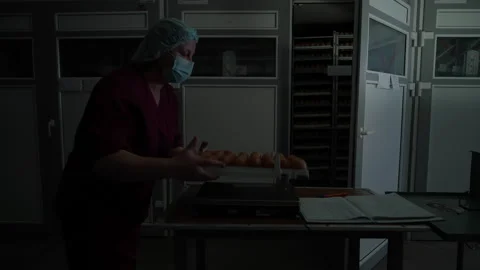 Woman Worker Loading Eggs Into Incubator For Poultry Livestock Production Stock Footage 271125466