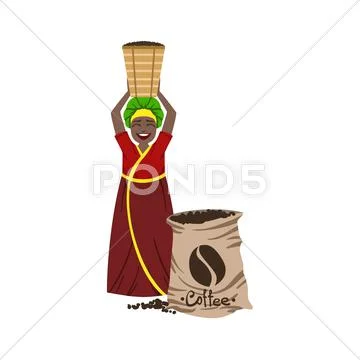 Woman Working On Coffee Plantation Stock Illustration