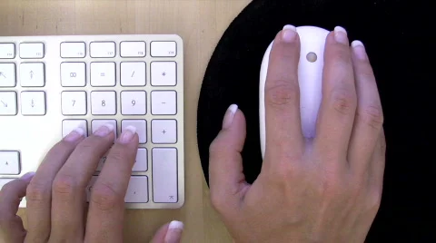 Woman Working On The Computer Stock Footage 267084