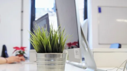 Woman working with computer Stock-Footage 96485457