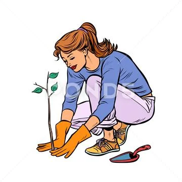 Woman working in the garden, planting a seedling Stock Illustration