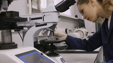 Woman Working In Laboratory With Microscope Stock Footage 130009401