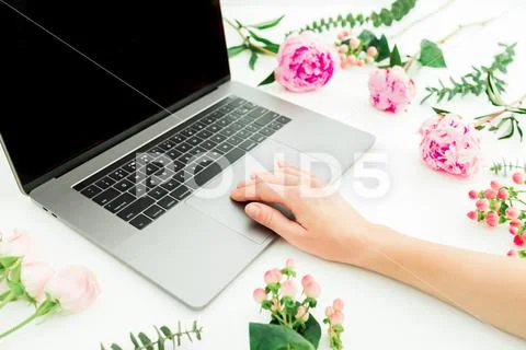 Woman working on laptop. Hand with laptop and pink flowers and eucalyptus bra Stock Photos