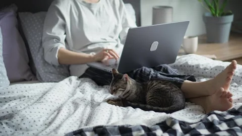 A woman is working on a laptop while lying in bed with her cat Stock Footage 264087067