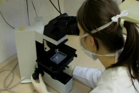 Woman working with microscope Stock Footage 99052