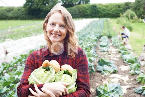Woman Working On Organic Farm Holding Produce Stock Photos