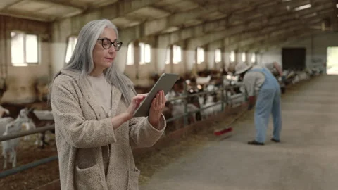 Woman working on tablet while man cleaning goat farm Stock Footage 157578492