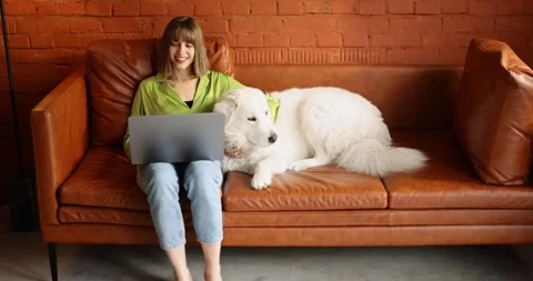 Woman works on laptop computer while sitting with her cute dog on a couch at Stock Footage 201510834