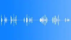 WomanlaughGiggles6x Sound Effect