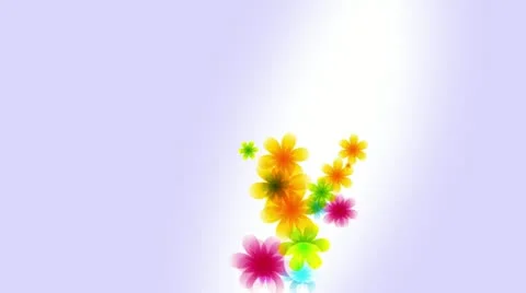 Woman's day 4K Stock Footage 20627849