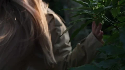 A woman's developing hair in the wind Stock Footage 254355165