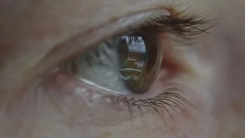 A woman's eye with a beautiful brown iris in close-up. Healthy eyesight Stock Footage 285012100