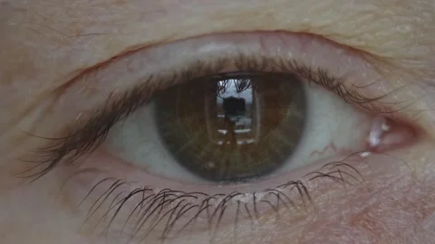 A woman's eye with a beautiful brown iris in close-up. Healthy eyesight Stock Footage 285012328