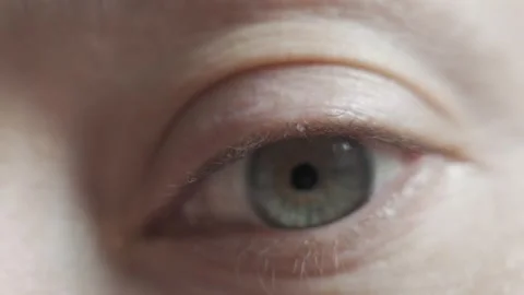 A woman's eye in an extreme close up macro shot as it looks at the camera. Stock-Footage 343452480