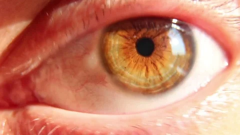 The Woman's Eye Stock Footage 79465773