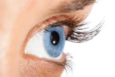 Woman's eye with long eyelashes Stock Photos