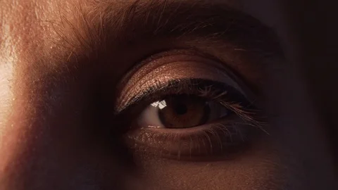 Womans Eye Makeup Closeup Glitter Sparkle Glamour 12 Stock-Footage 112977237