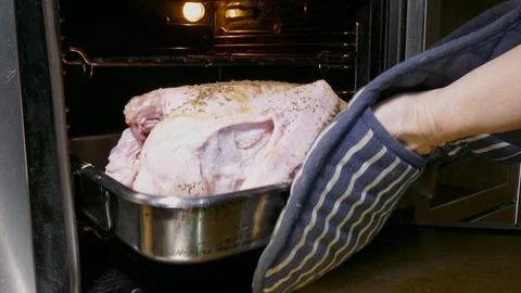 Woman’s gloved hands putting a fresh goose into a hot oven. 스톡 동영상 100258451