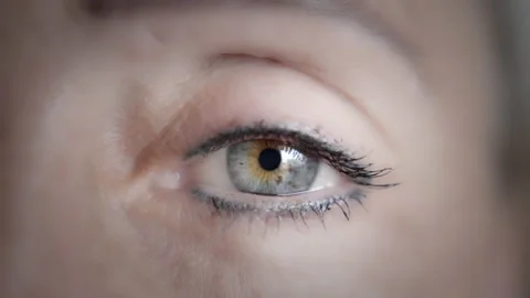 Woman's grey eye wide open Stock Footage 217416604