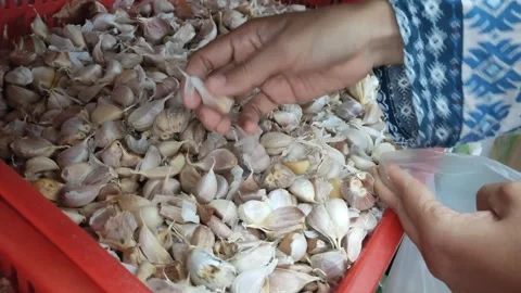 A woman's hand carefully selects fresh garlic Stock Footage 288003202