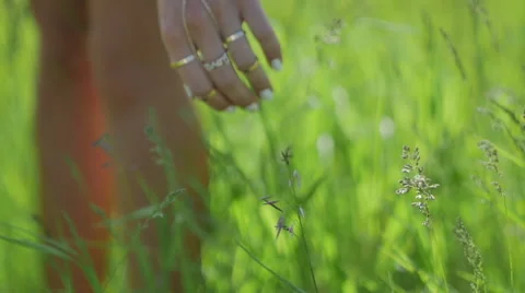 Woman's Hand Caressing Grass Видео 59222336