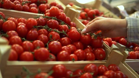 Woman's hand choose cherry tomatoes in supermarket or bazar, buying products Stock Footage 158033735