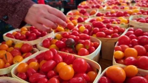 Woman's hand choosing cherry tomatoes at a market, tracking shot. Stock Footage 317101289