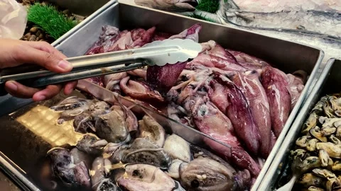 A woman's hand is choosing one from a bunch of squid Stock Footage 217514622