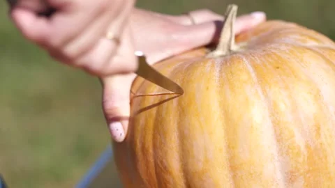 Woman's hand cuts off the top of a pumpkin with a knife close-up. Preparing.. Stock Footage 253206536