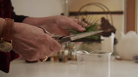 Womans Hand Cutting Pine Needles into Container Vídeos de archivo 111757431