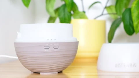 A woman's hand drips lavender essential oil into the diffuser. Stock Footage 168691119