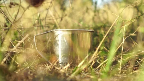 A woman's hand drops a tea bag into a metal mug in nature. Video stock 160038379