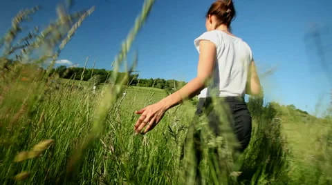 Woman's hand in field Stock Footage 59538720