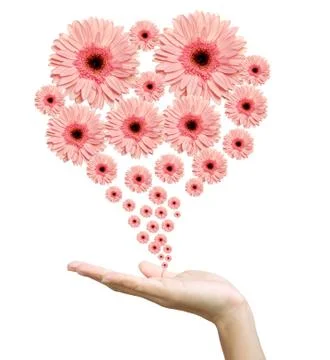 Woman's hand with flowers Stock Illustration