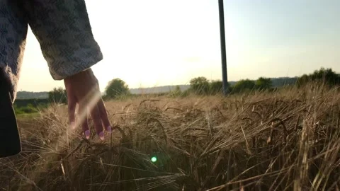 A woman's hand Stock Footage 158699764