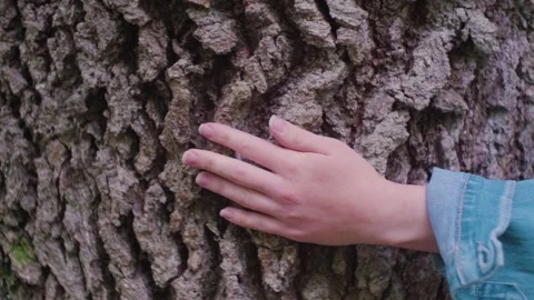 A woman's hand Stock Footage 288013096