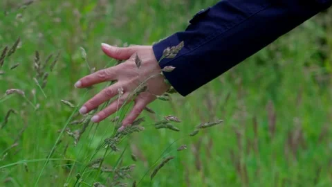 A woman's hand Stock Footage 314058140