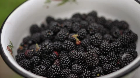 Woman's hand gently touching fresh ripe blackberries in a bowl 스톡 동영상 331305569