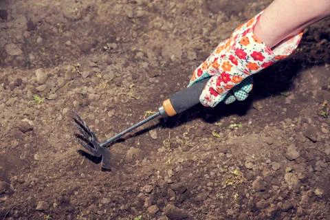 Womans hand in a glove using tool and gardening Stock Photos
