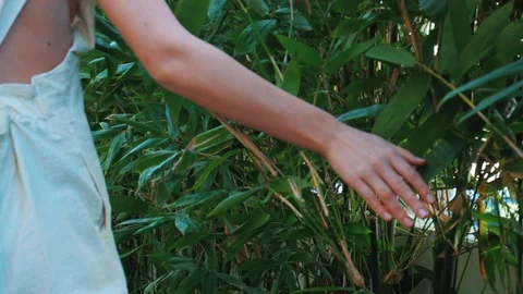 Womans hand in grass Video stock 124123365