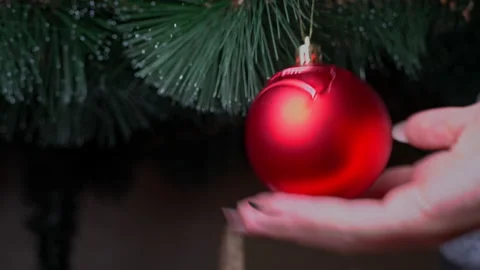 Woman's Hand Hangs a New Year's Toy on a Green Christmas Tree Stock Footage 229496552
