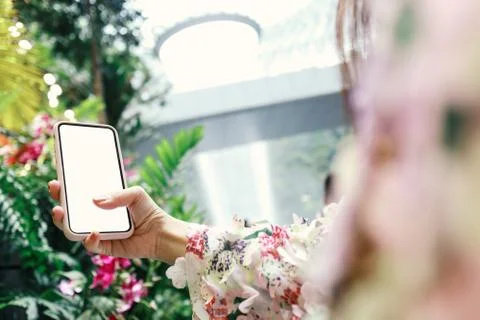 Woman's hand holding and using smartphone or tablet with blank white screen i Stock Photos