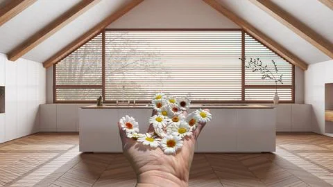 Woman's hand holding daisies, spring and flowers idea, over japandi wooden .. Stock-Illustration
