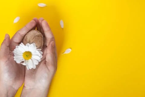 Woman's hand holding decorated Easter egg with a white flower on the bright Stock Photos