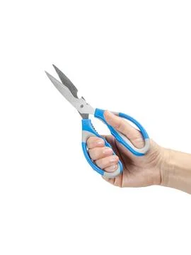Woman's hand holding a kitchen scissors on the white background. Stock Photos