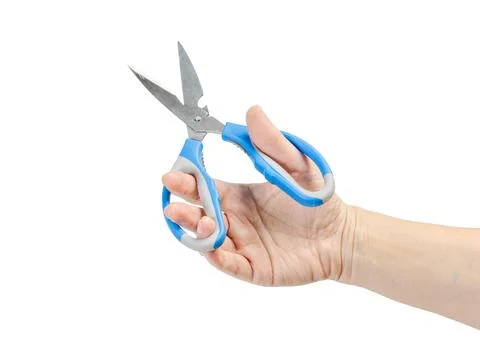Woman's hand holding a kitchen scissors on the white background. Stock Photos
